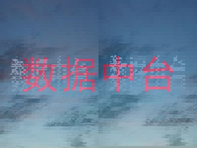 数据中台