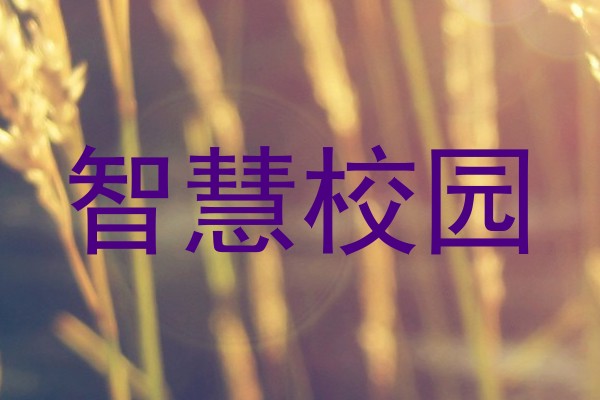 智慧校园