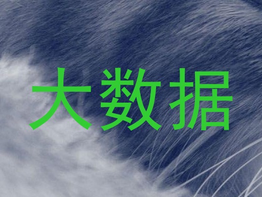 大数据