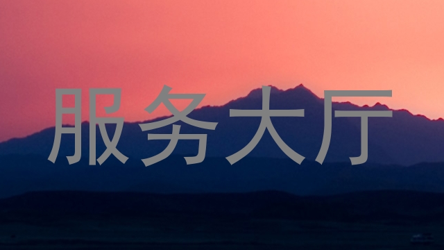 服务大厅