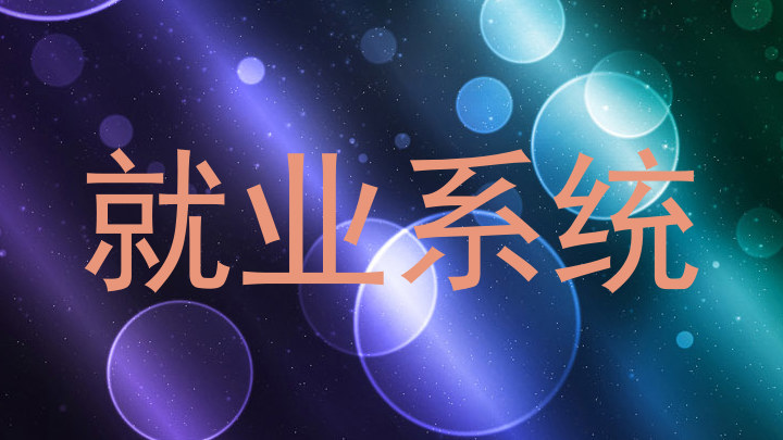 就业系统