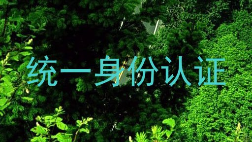 统一身份认证