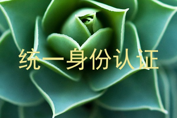 统一身份认证