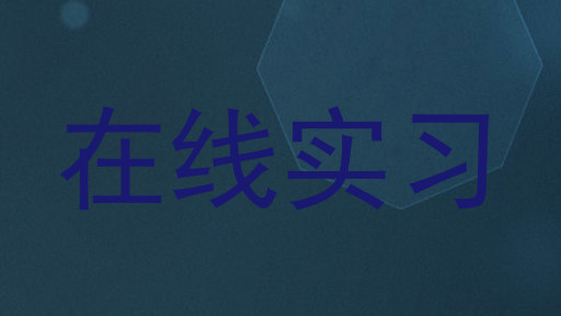 在线实习