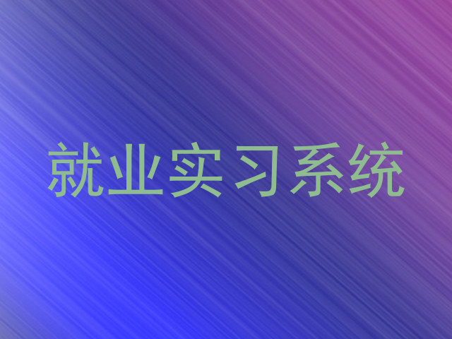 就业实习系统