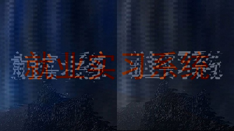 就业实习系统