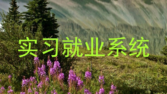 实习就业系统
