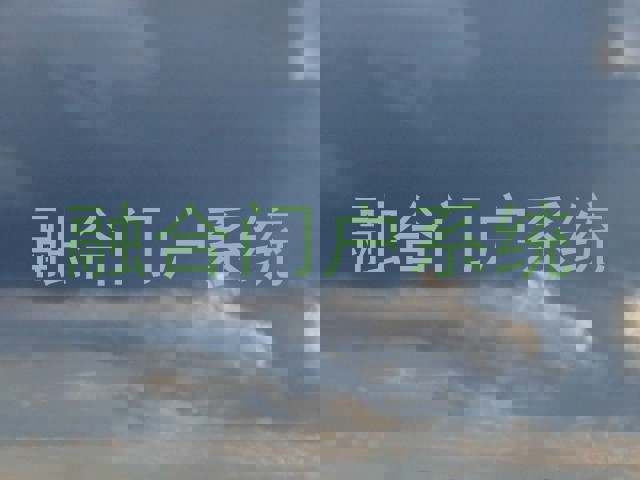 融合门户系统