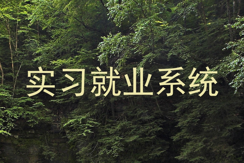 实习就业系统