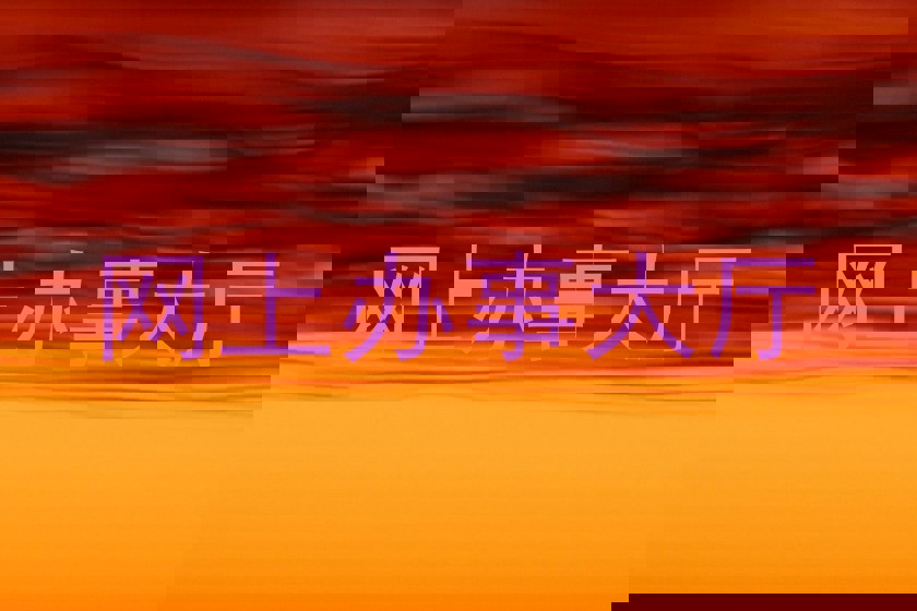 网上办事大厅