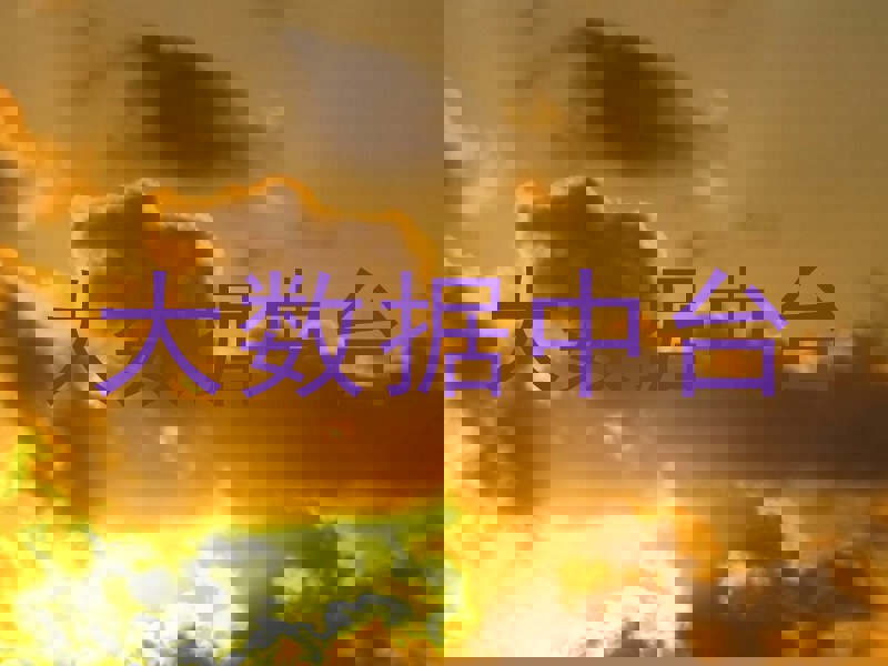 大数据中台