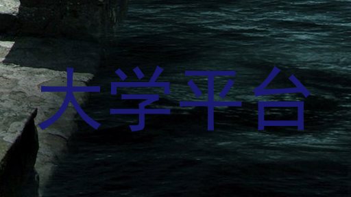 大学平台