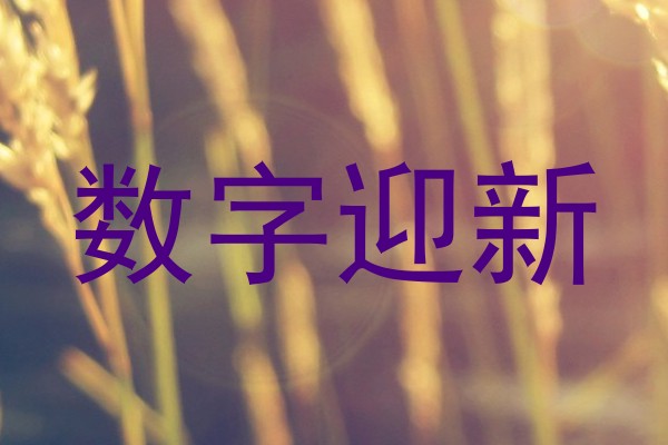 数字迎新