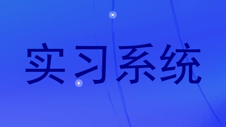 实习系统