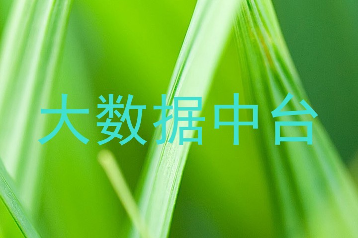 大数据中台