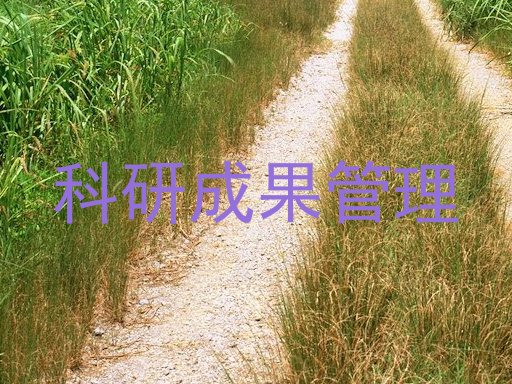 科研成果管理