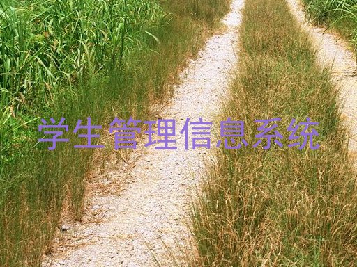 学生管理信息系统