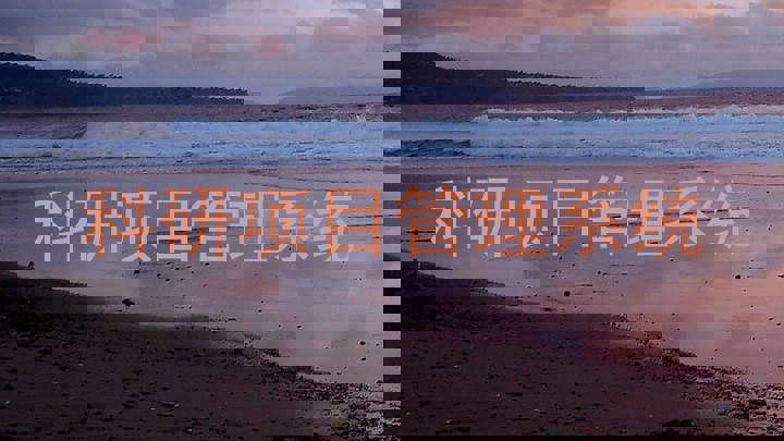 科研项目管理系统