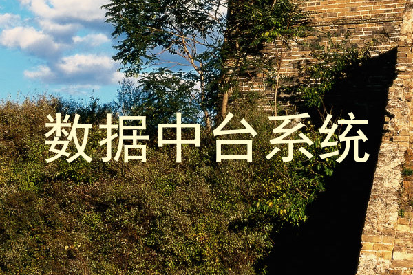 数据中台系统