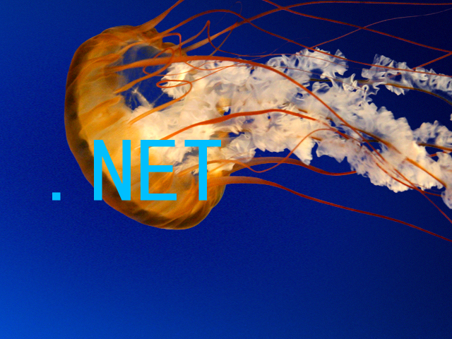 .NET