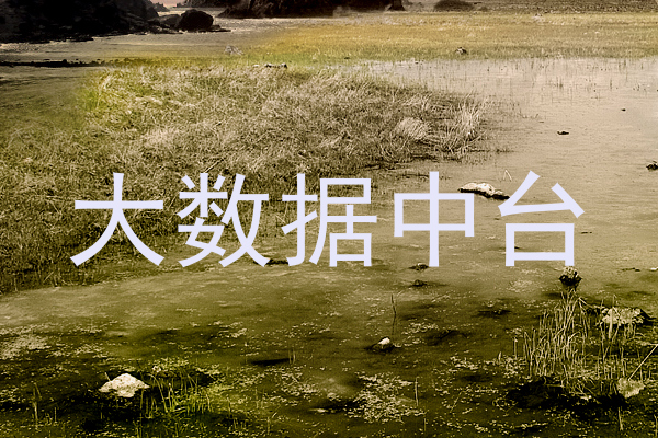 大数据中台