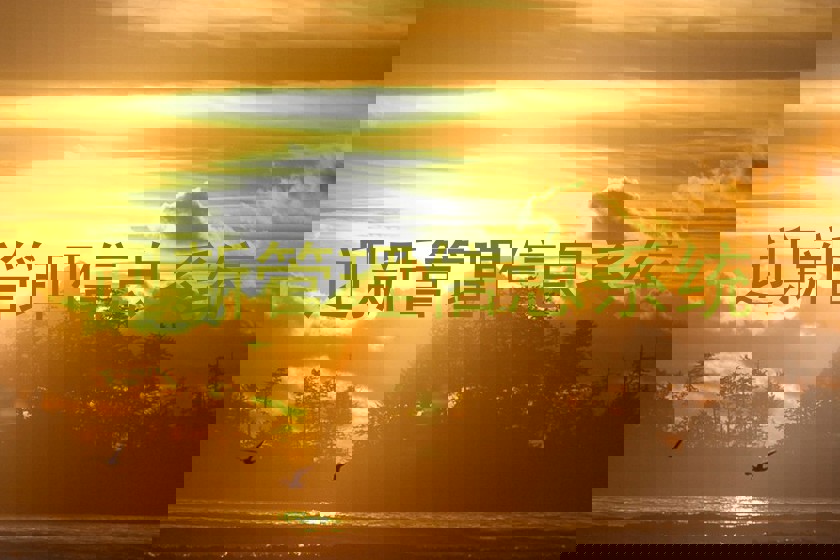 迎新管理信息系统