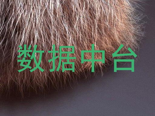 数据中台
