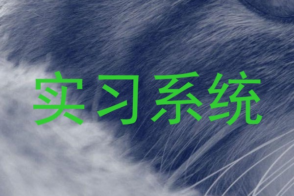 实习系统