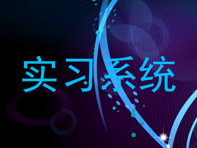 实习系统