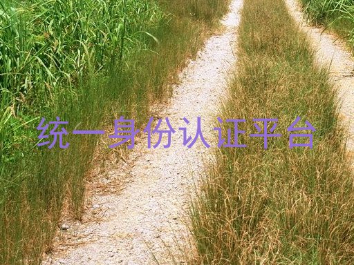 统一身份认证平台