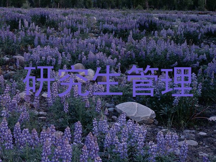 研究生管理