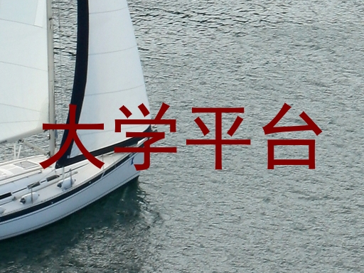 大学平台