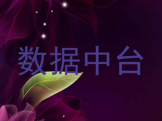 数据中台