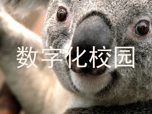 数字化校园