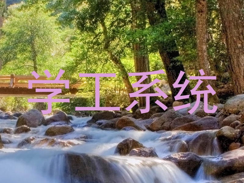 学工系统