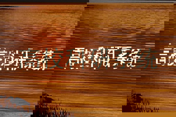 高校科研系统