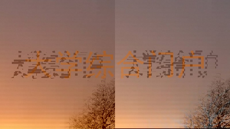 大学综合门户