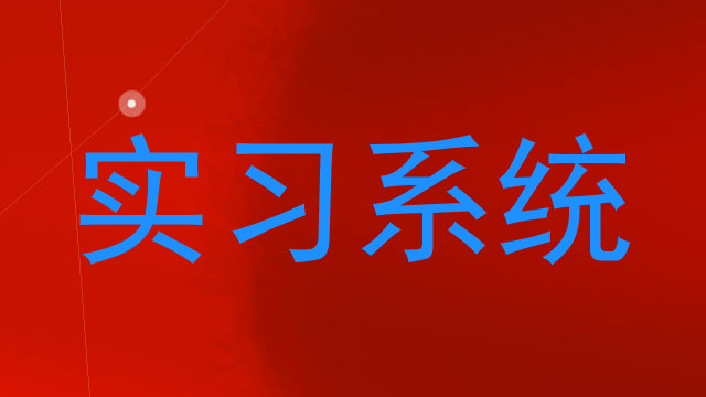 实习系统