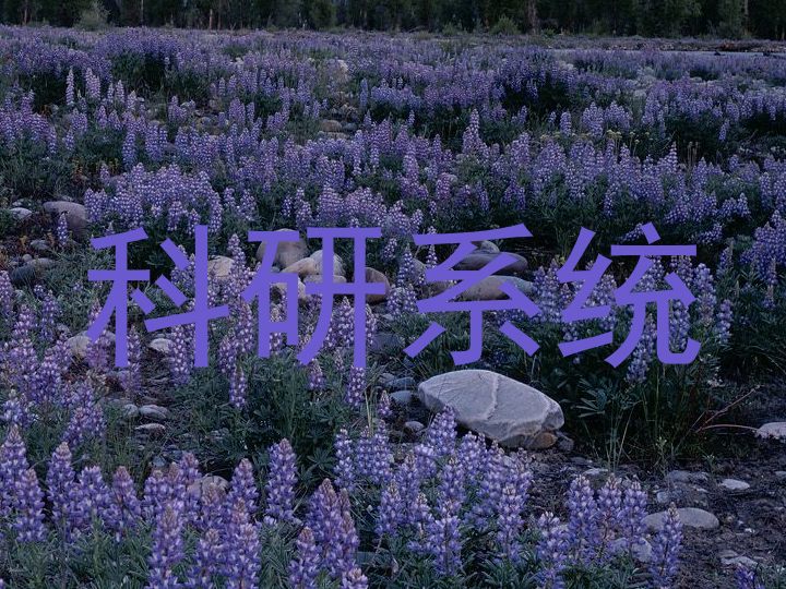 科研系统