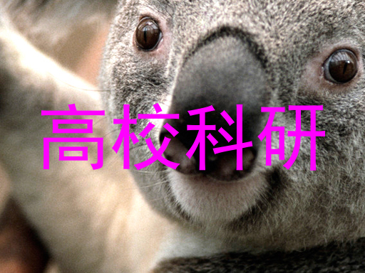 高校科研