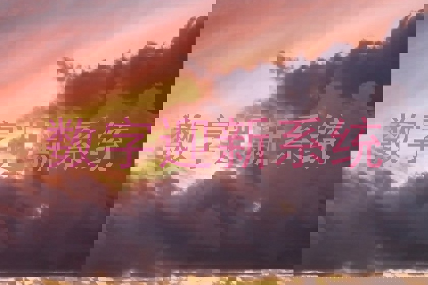数字迎新系统