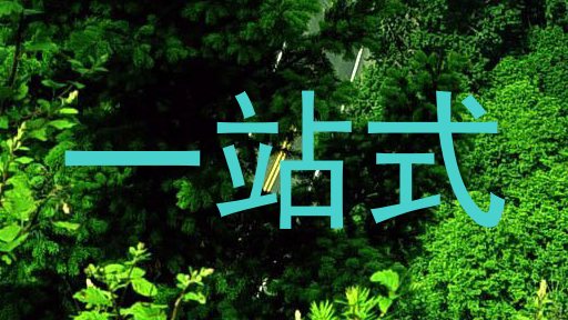 一站式