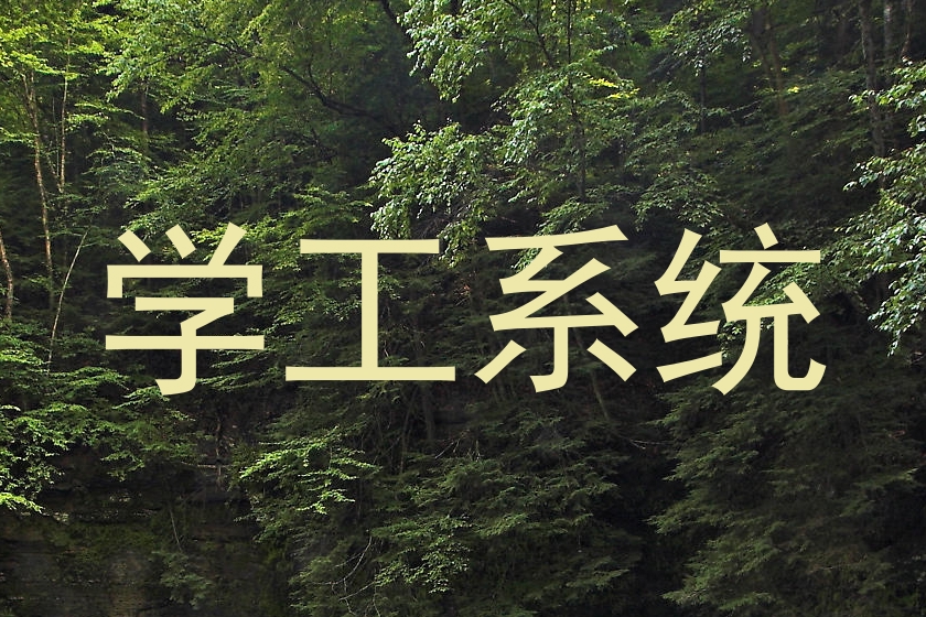学工系统