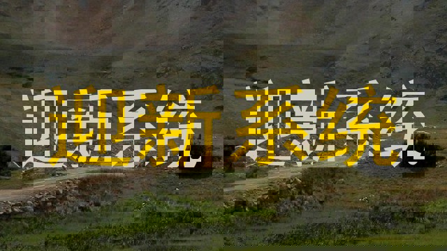 迎新系统