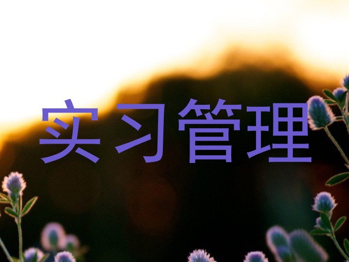 实习管理