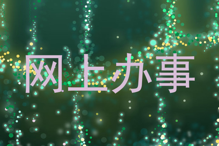 网上办事