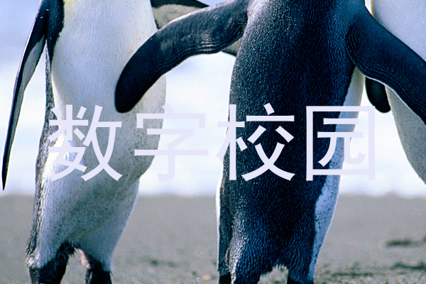 数字校园