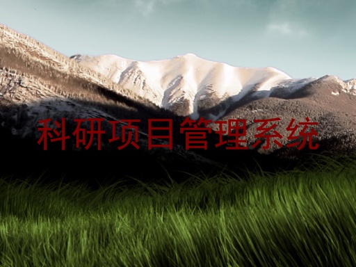 科研项目管理系统