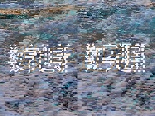 数字迎新