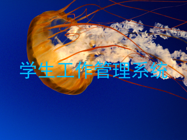 学生工作管理系统
